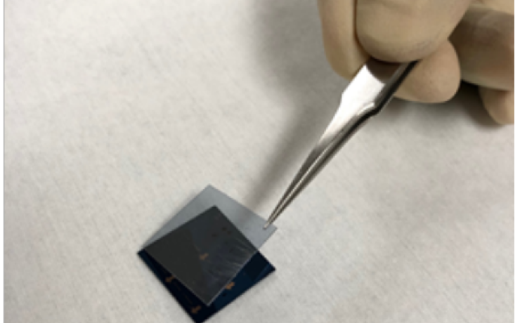 photo showing transfer of TMD